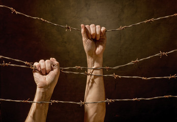 hands hanging on the barbed wire
