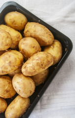 Potatoes isolated on white