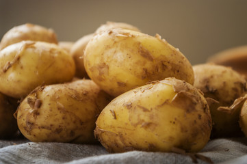 Potatoes isolated on white