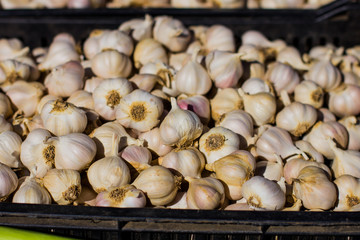 Garlic On the Market