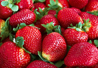 Fresas