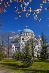 Fototapeta premium St. Sava Cathedral in Belgrade, Capital city of Serbia