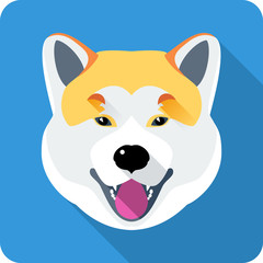 dog Akita Inu Japanese breed icon flat design