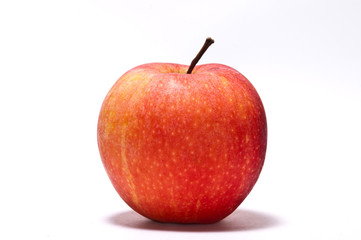 red apple on white background