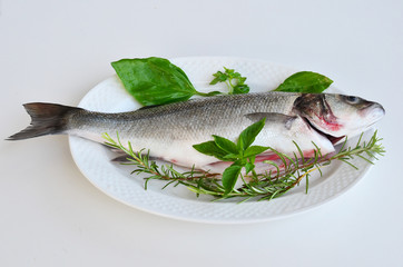 Fresh fish 4