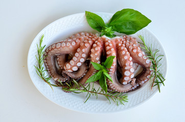 Fresh octopus 2