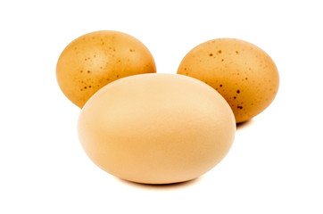 three eggs isolated on white background