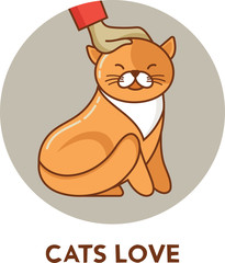 cat - vector icon and illustration