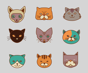 Collection of cat line and color vector icons, illustrations