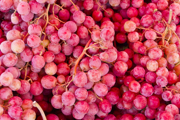 purple grapes close up