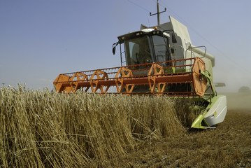 Fototapeta na wymiar Combine harvester