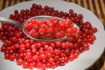 Red currant in a spoon. No. 2.