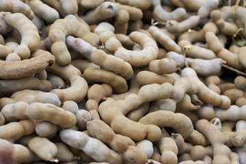 Ripe tamarind fruit