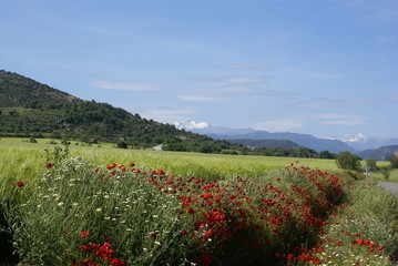 Vista de montaña, Pirineos, cielo azul, nubes y día soleado, Som
