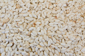 pumpkin seeds close up