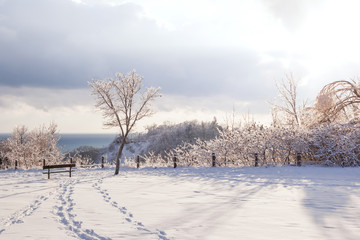 Winter landscape of Scarborough Bluffs
