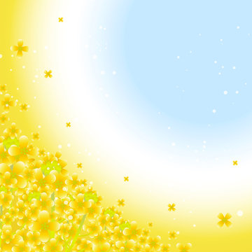 菜の花と青空のフレーム
