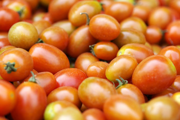 A lot of fresh tomatoes