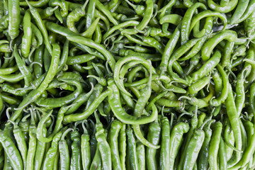 green spicy peppers close up