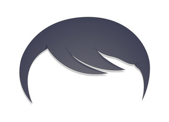 Hair Vector