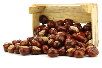  chestnuts(Aesculus hippocastanum) in a wooden crate