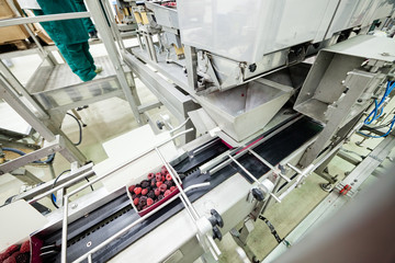 frozen raspberry processing business