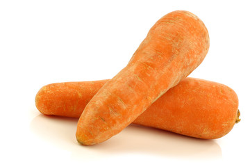 two winter carrots on a white background