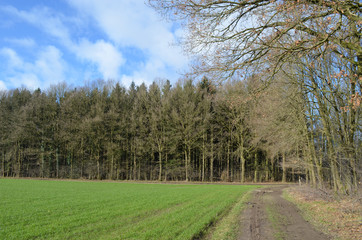 path and agricultural winter landscape in Limburg