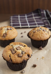 Chocolate Chip Muffins