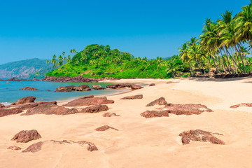 Fototapeta na wymiar Horizontal picture of beautiful tropical beach in the afternoon