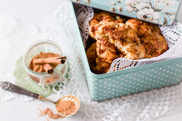 Homemade cookies with cinnamon sugar