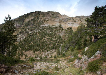 Landscape. Mountain, forest, clouds, dry grass