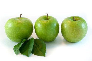 Three green apple isolated