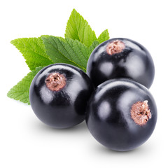 currant