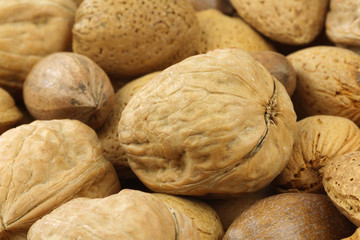 background of assorted nuts