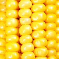 Corn