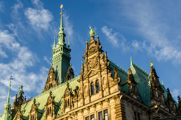 Naklejka premium Rathaus Hamburg