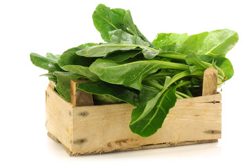 chinese spinach (Ipomoea aquatica) in a wooden crate 