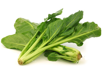 chinese spinach (Ipomoea aquatica) on a white background