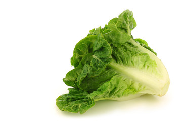 freshly harvested little gem lettuce on a white background