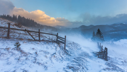 Snowstorm. Winter in the mountains