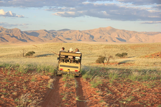 Fototapeta Safari  in Namibia