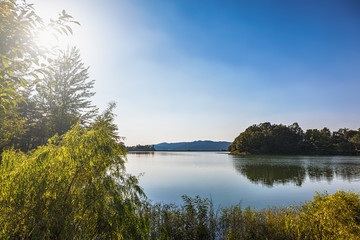 Obraz premium Lake or pond landscape