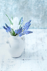 Grape hyacinths and white crocus flowers in a vase