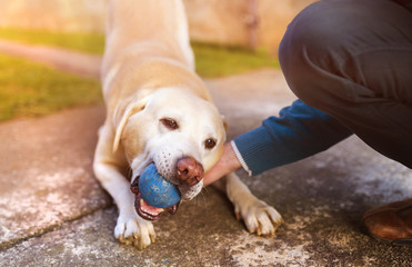 Man and dog