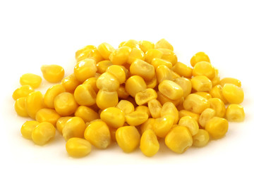 bunch of fresh grains of sweet corn on a white background