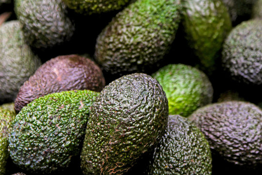 Avocados