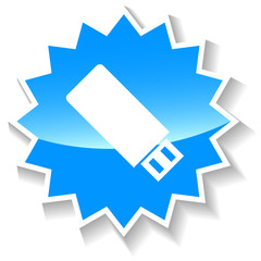 Flash drive blue icon