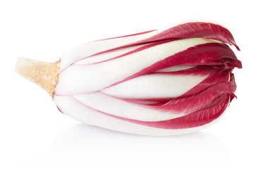 Radicchio, red Treviso chicory on white, clipping path
