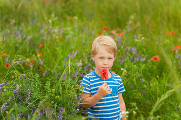 boy holding flowers in the field